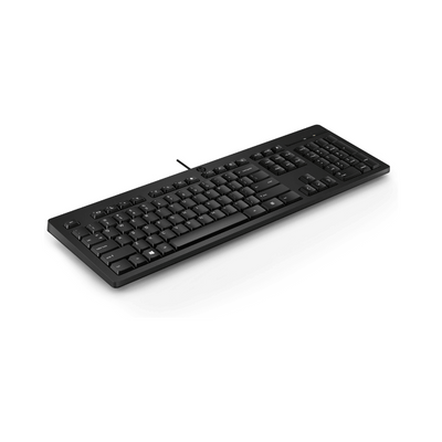 HP Tastiera 125 Wired, Full-size (100%), Cablato, USB, Interruttore a chiave a membrana, Nero [266C9ET#ABZ] - ITPartners
