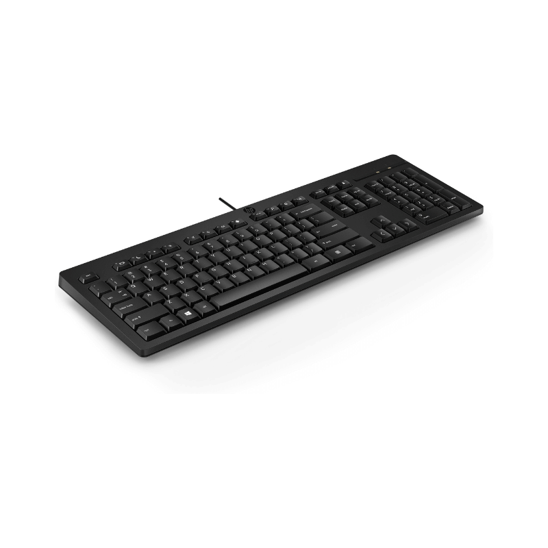 HP Tastiera 125 Wired, Full-size (100%), Cablato, USB, Interruttore a chiave a membrana, Nero [266C9ET#ABZ] - ITPartners