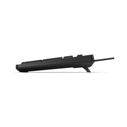 HP Tastiera 125 Wired, Full-size (100%), Cablato, USB, Interruttore a chiave a membrana, Nero [266C9ET#ABZ] - ITPartners