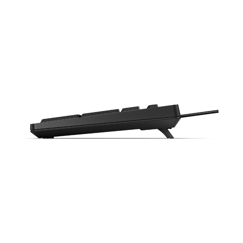 HP Tastiera 125 Wired, Full-size (100%), Cablato, USB, Interruttore a chiave a membrana, Nero [266C9ET#ABZ] - ITPartners