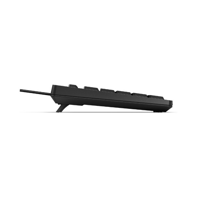 HP Tastiera 125 Wired, Full-size (100%), Cablato, USB, Interruttore a chiave a membrana, Nero [266C9ET#ABZ] - ITPartners