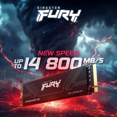 Kingston FURY Renegade G5 - 4 TB - M.2 2280 [SFYR2S/4T0]