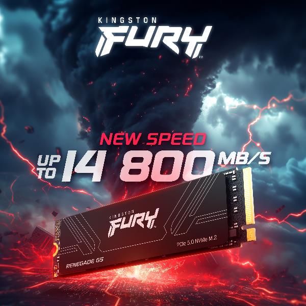Kingston FURY Renegade G5 - 4 TB - M.2 2280 [SFYR2S/4T0]