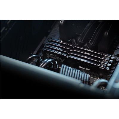 Memoria Kingston FURY Beast DDR5 [KF560C30BBE-16]