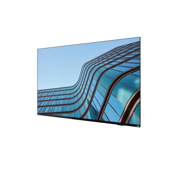 ThinkVision E55 LFD [64A9GAT1EK]