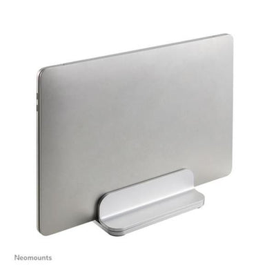 NSLS300SILVER [NSLS300SILVER]