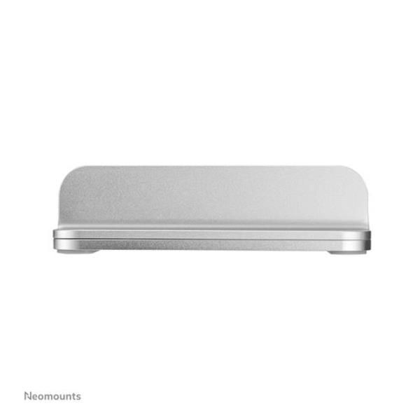 NSLS300SILVER [NSLS300SILVER]