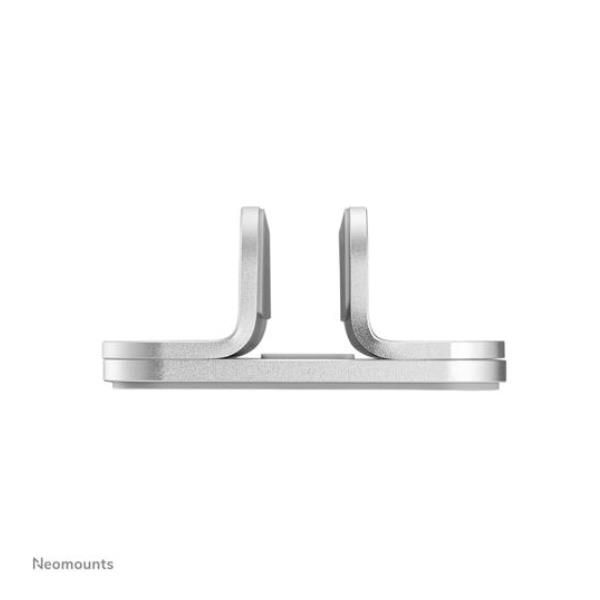 NSLS300SILVER [NSLS300SILVER]