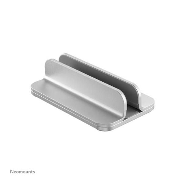 NSLS300SILVER [NSLS300SILVER]