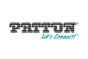 Patton 10-3096TM64-6, Cable 64pin FEMALE Telco to 32 unterminated TP, 6FT. [10-3096TM64-6]