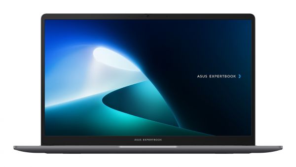 CORE 3-100U/8GB/512SSD/SHARED/15.6FHD/WIN11HOME [P1503CVA-S72552W]