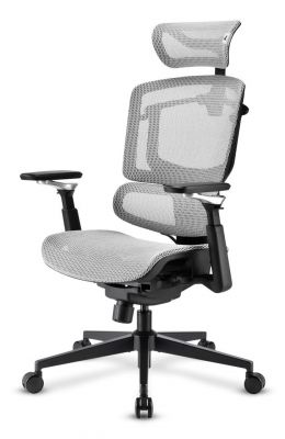 SEDIA OFFICE ERGONOMICA IN RETE MESH [OFFICEPALC50M]