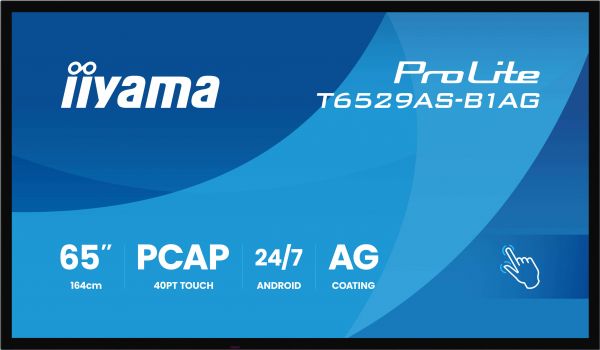 65 All-in-one Interactive Display [T6529AS-B1AG]