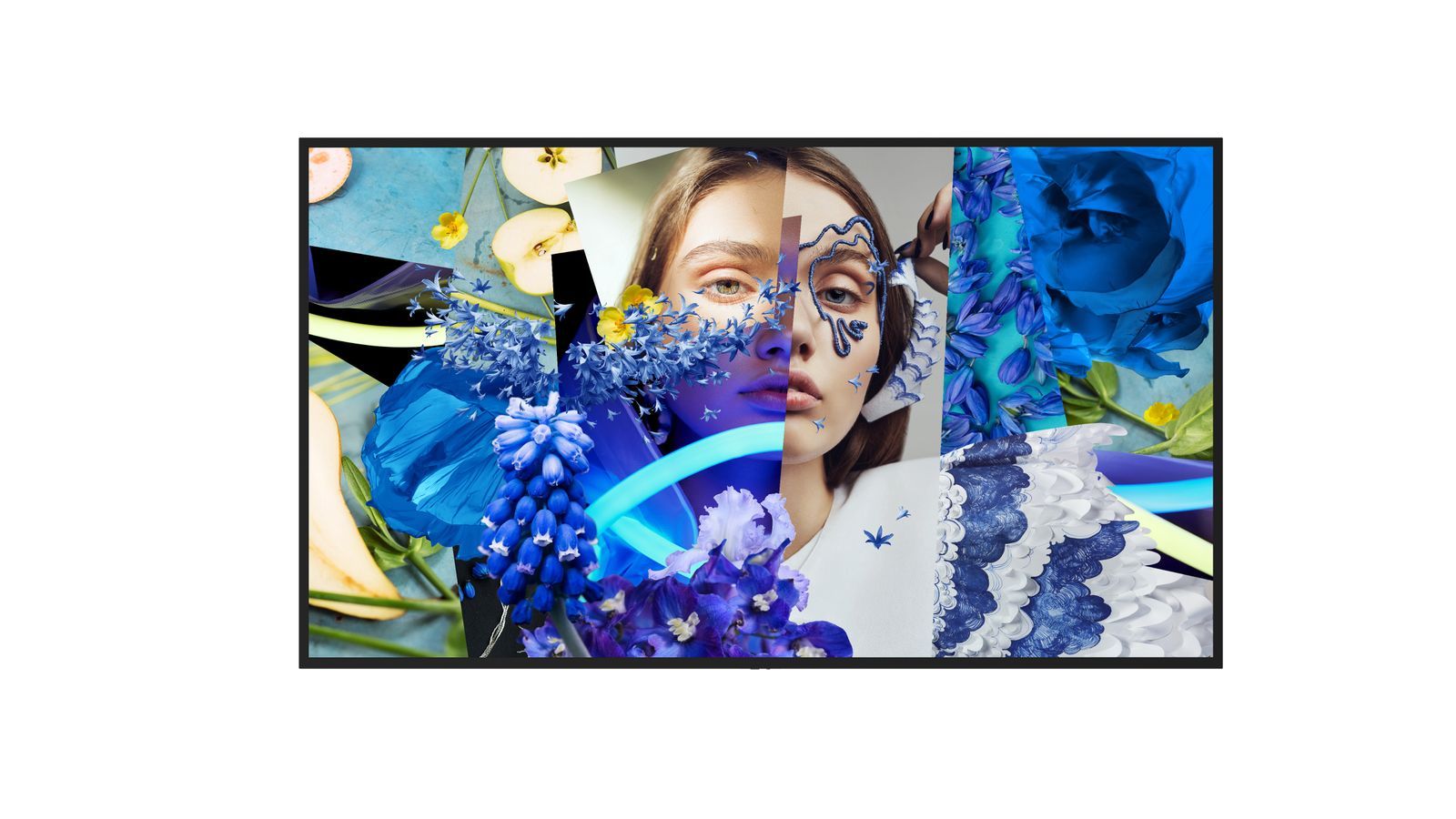 DIGITAL SIGNAGE 4K 55 [DS-D6055UN-DP]