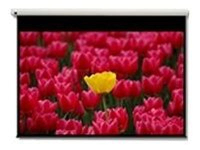 Optoma Pantalla 16:9 2656 x 1494mm schermo per proiettore 3,05 m (120") [DE-9120EGA]