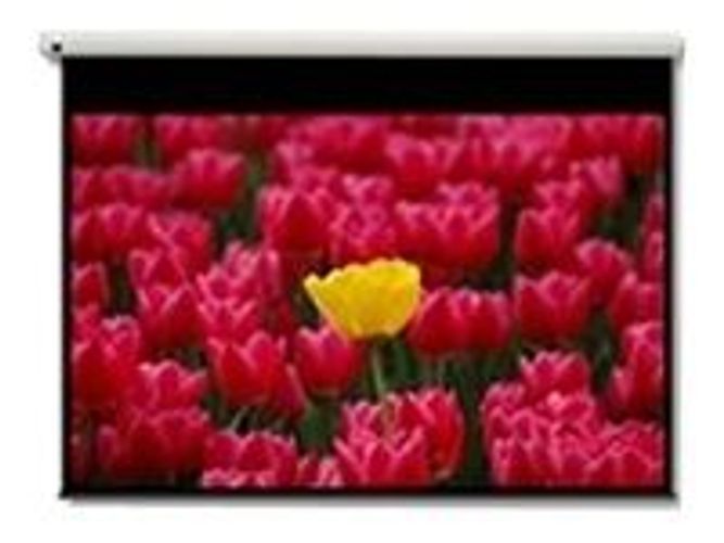 Optoma Pantalla 16:9 2656 x 1494mm schermo per proiettore 3,05 m (120") [DE-9120EGA]