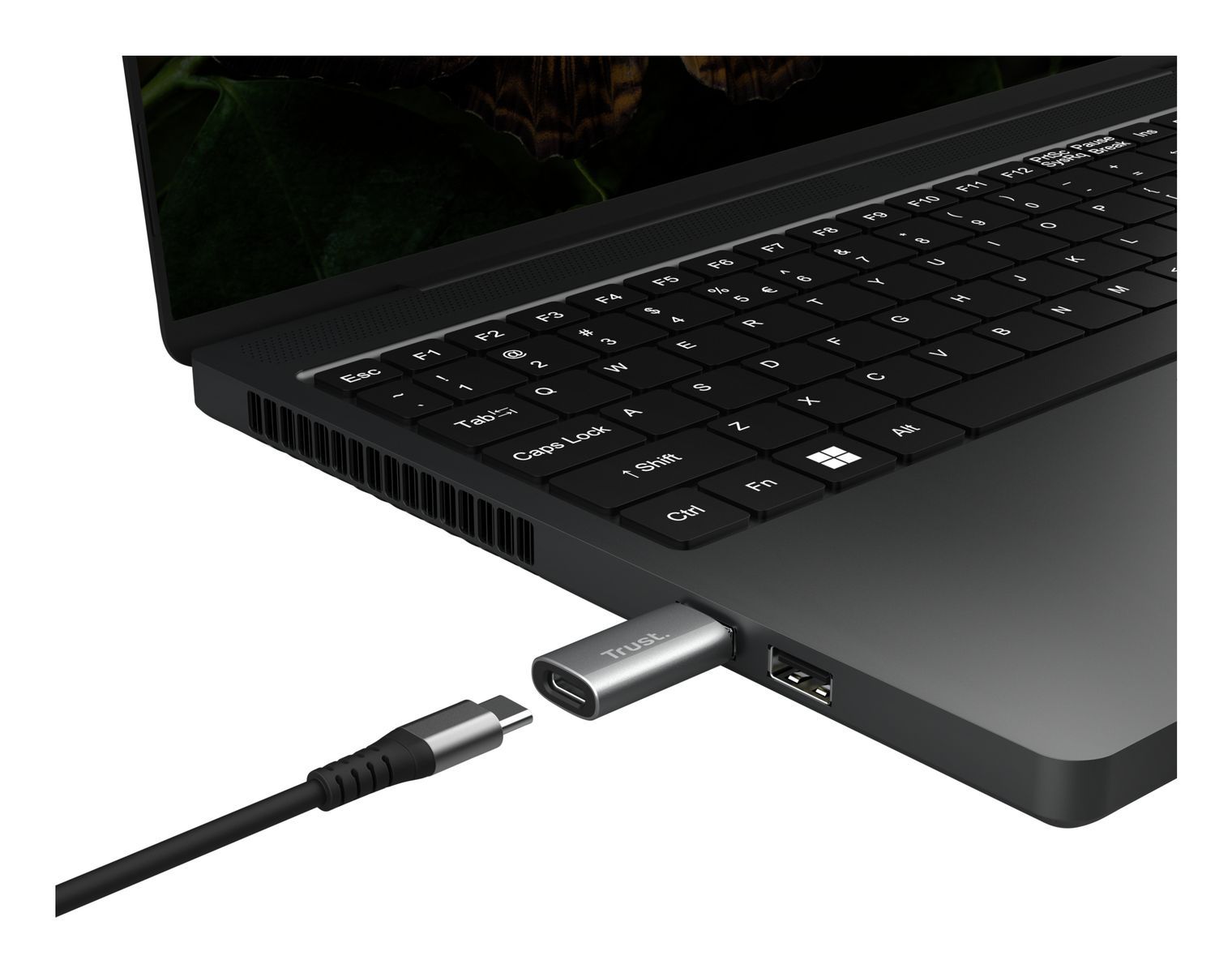 Trust Calyx USB Type-C USB Type-A Grigio [25573]