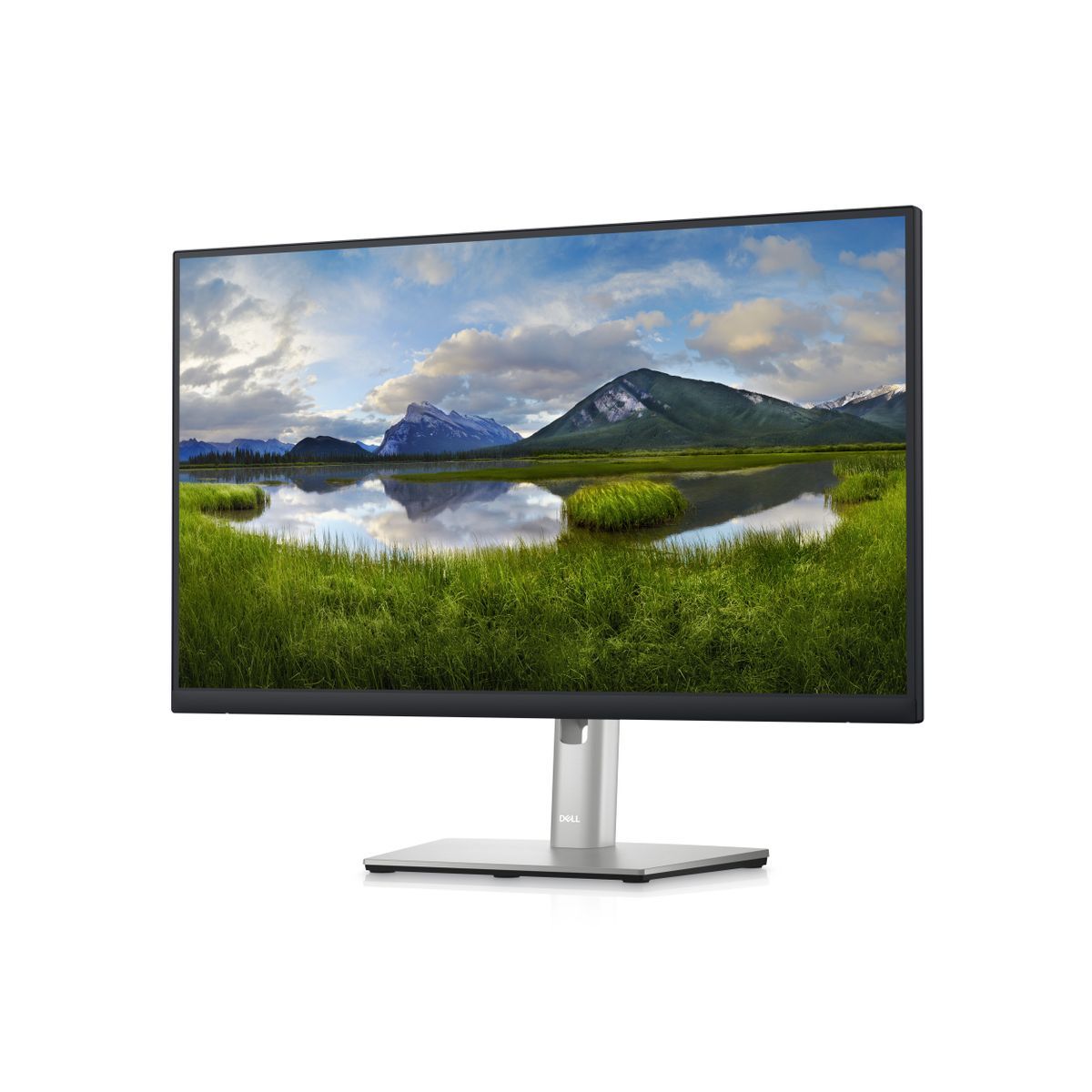 DELL P Series Monitor QHD da 24" - P2423D [DELL-P2423D]