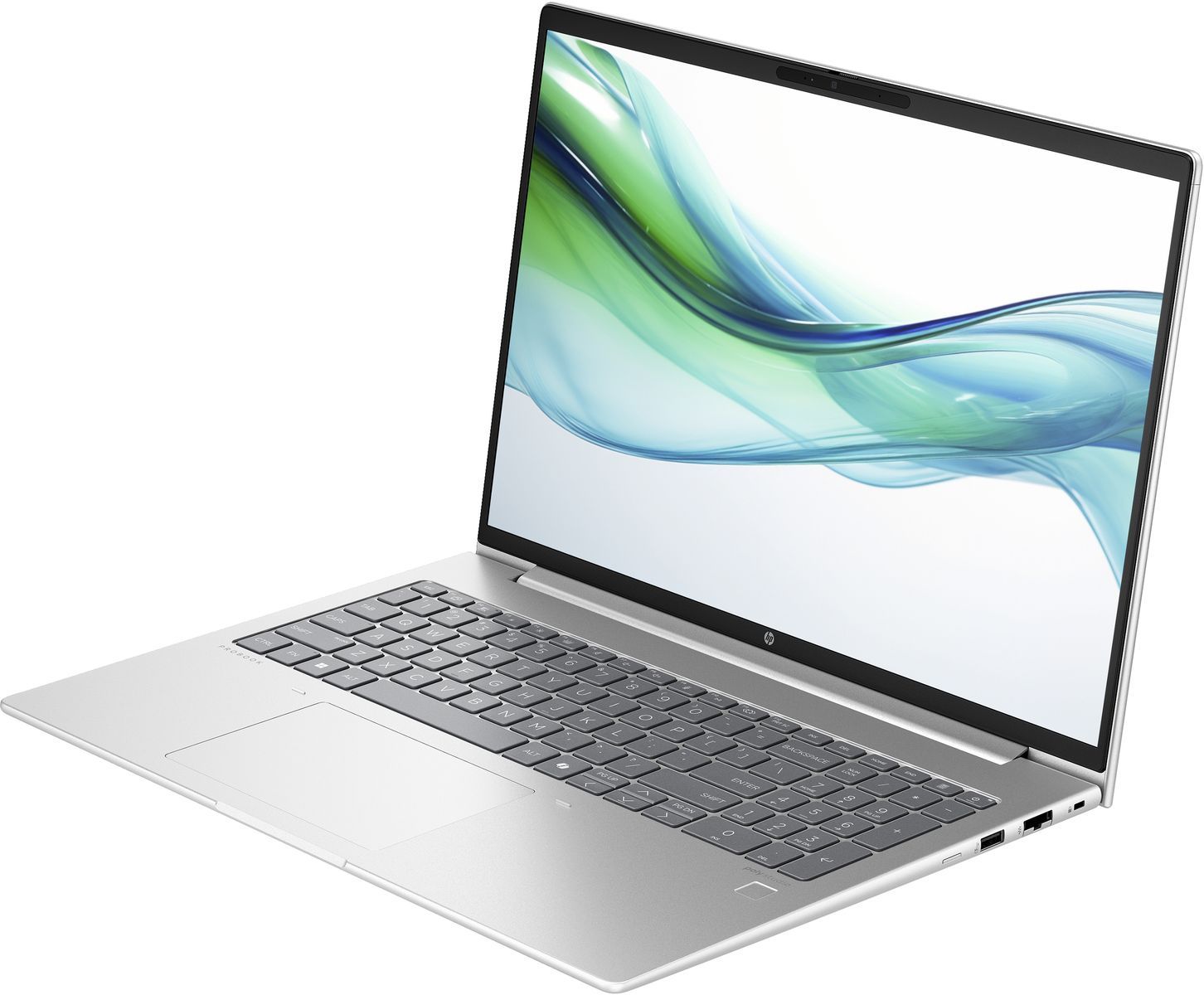 HP ProBook 460 G11 Intel Core Ultra 5 125U Computer portatile 40,6 cm (16") WUXGA 16 GB DDR5-SDRAM 512 GB SSD Wi-Fi 6E (802.11ax) Windows 11 Pro Argento [AD1Q3ET#ABZ]