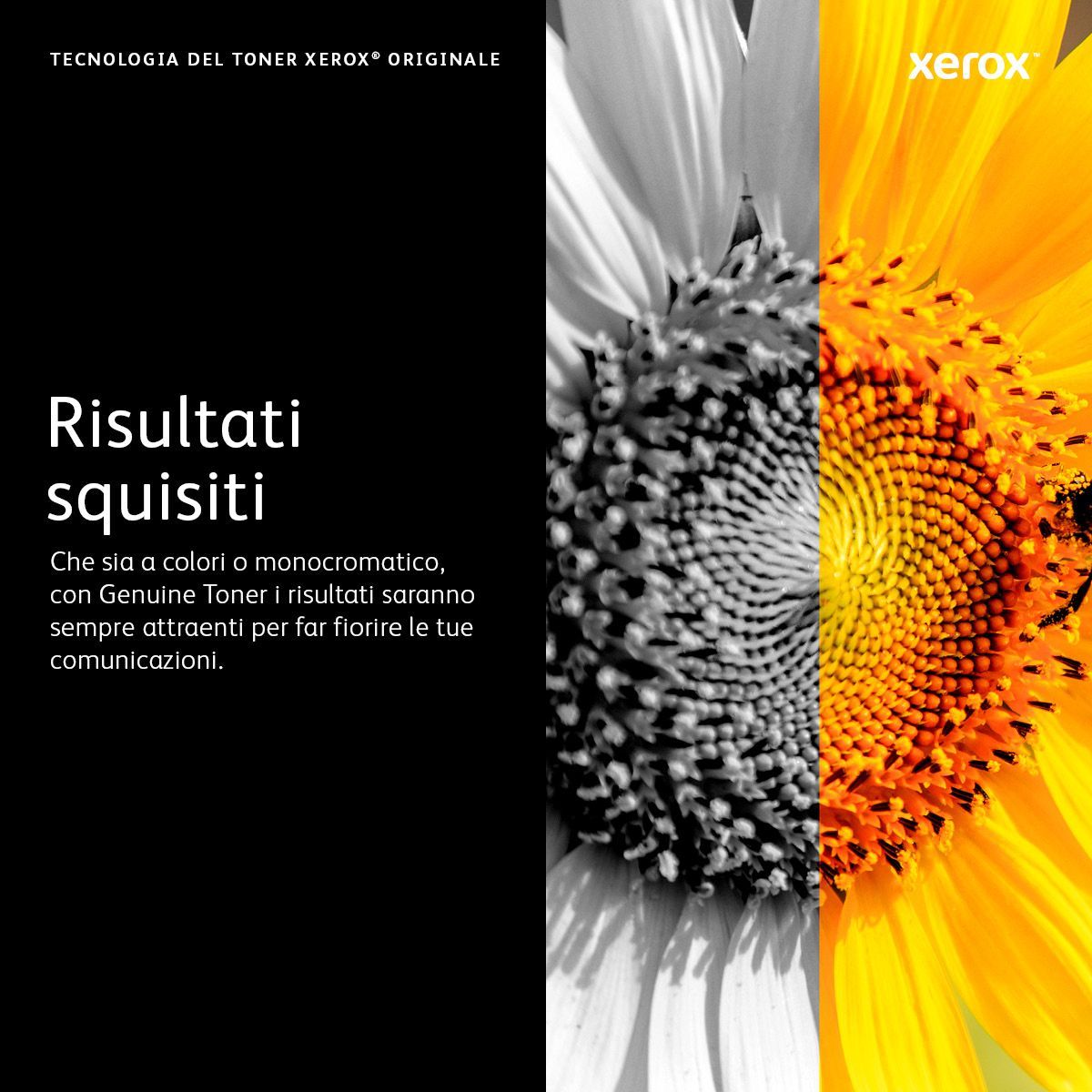 Xerox Cartuccia toner Nero a Alta capacità da 3000 Pagine per Stampante a colori  C230/multifunzione a colori  C235 (006R04391) [006R04391]
