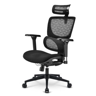 Sharkoon OfficePal C40 Seduta imbottita Schienale a rete [OFFICEPALC40]