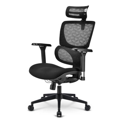 Sharkoon OfficePal C40 Seduta imbottita Schienale a rete [OFFICEPALC40]
