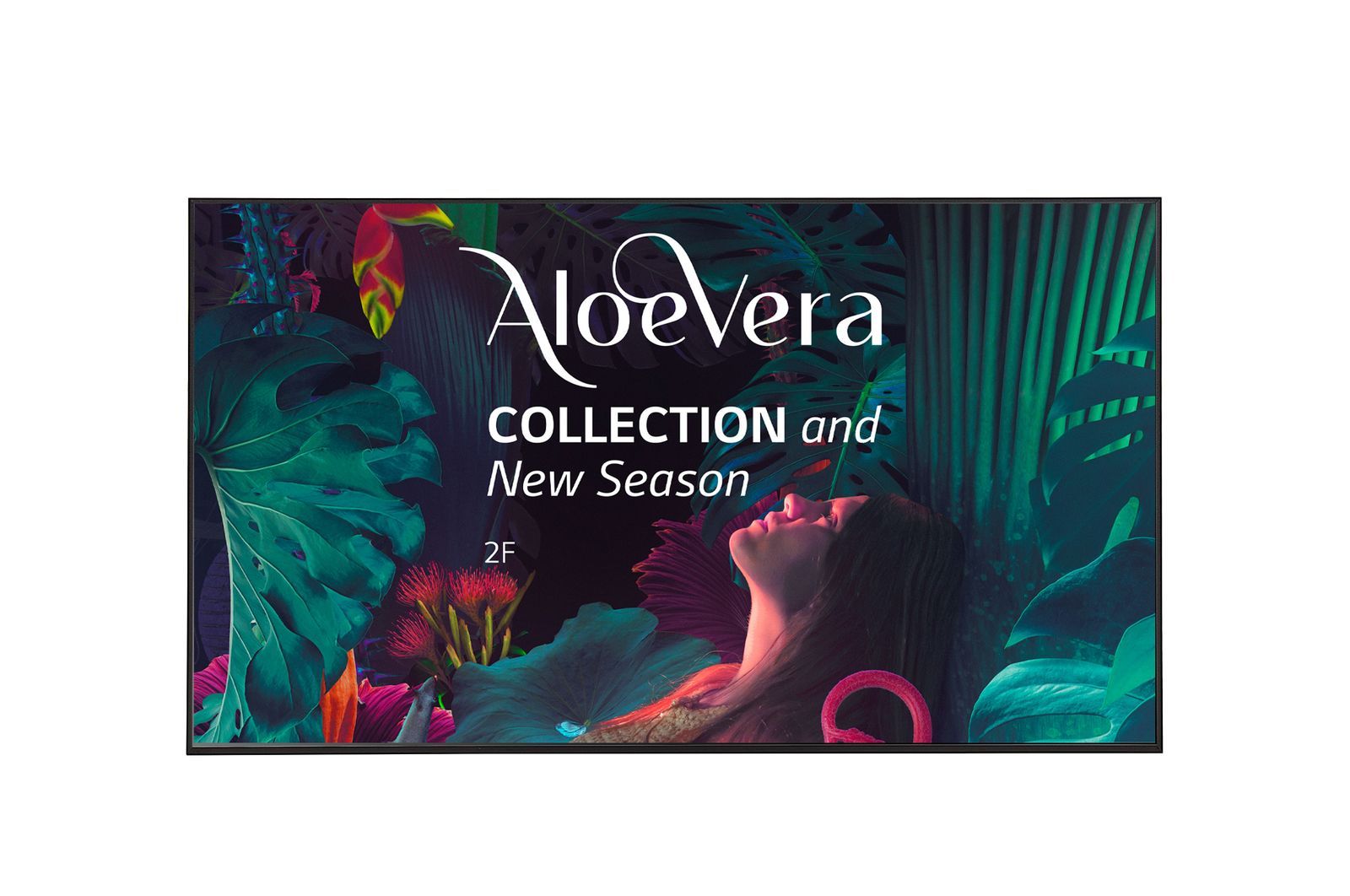 LG 65UH5N-E Pannello piatto per segnaletica digitale 165,1 cm (65") LCD Wi-Fi 500 cd/m 4K Ultra HD Nero WebOS 24/7 [65UH5N-E.AEU]