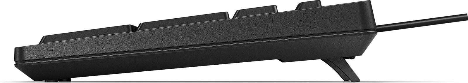 Tastiera USB HP 125 [AY2Y7AA#ABZ]