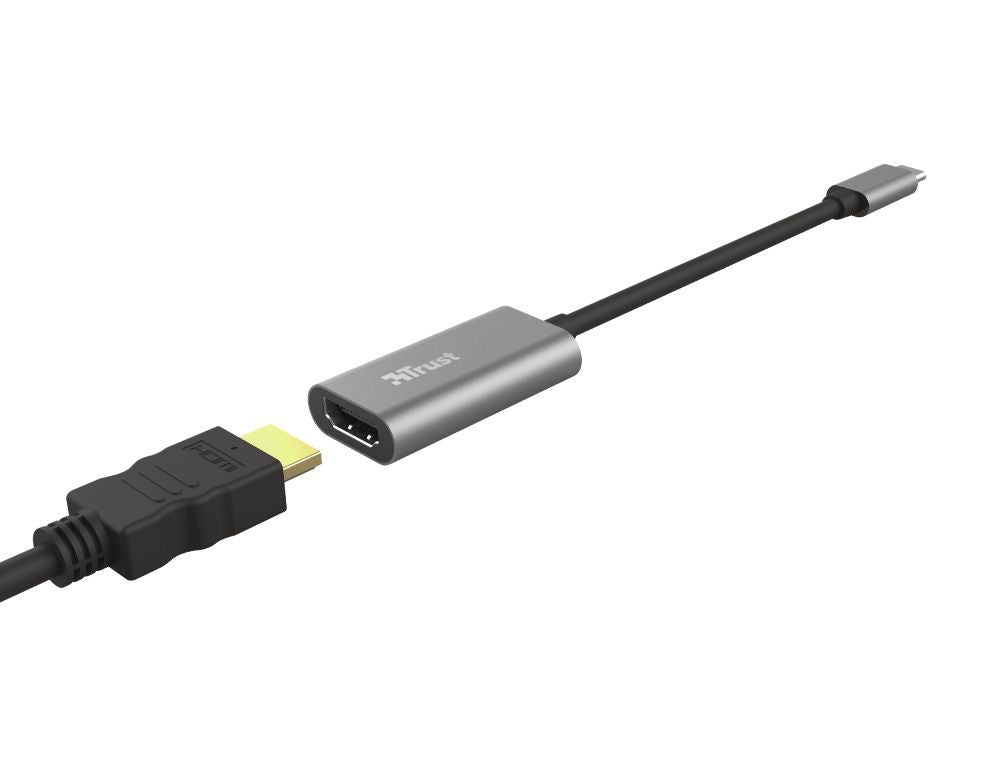 Trust Dalyx adattatore grafico USB Grigio [23774]