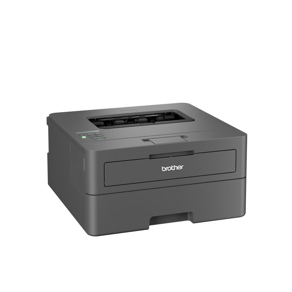 Brother HL-L2445DW Stampante laser monocromatica [HLL2445DWRE1]