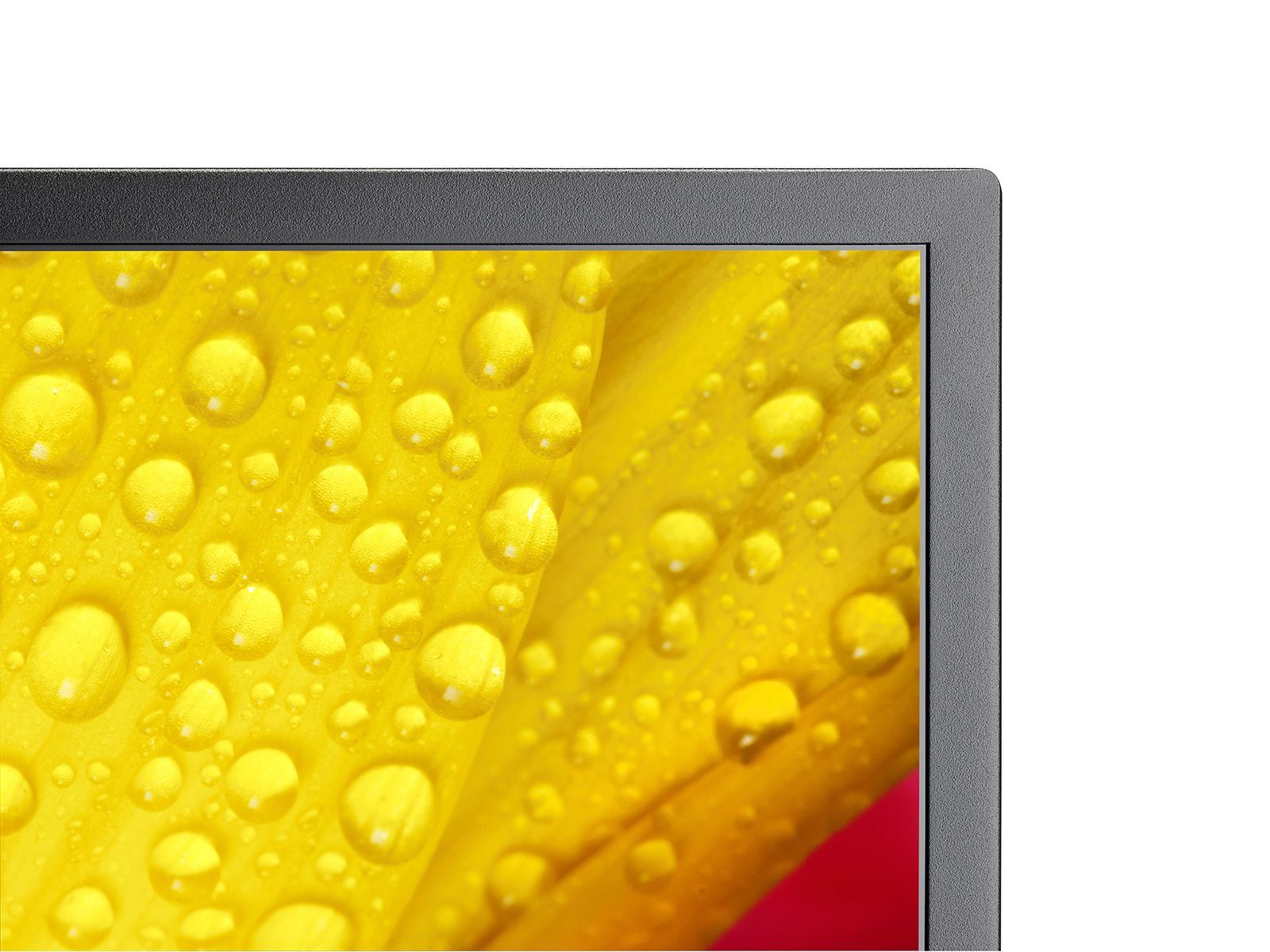 NEC MultiSync ME651 Pannello piatto per segnaletica digitale 165,1 cm (65") IPS 400 cd/m 4K Ultra HD Nero 18/7 [60005062]