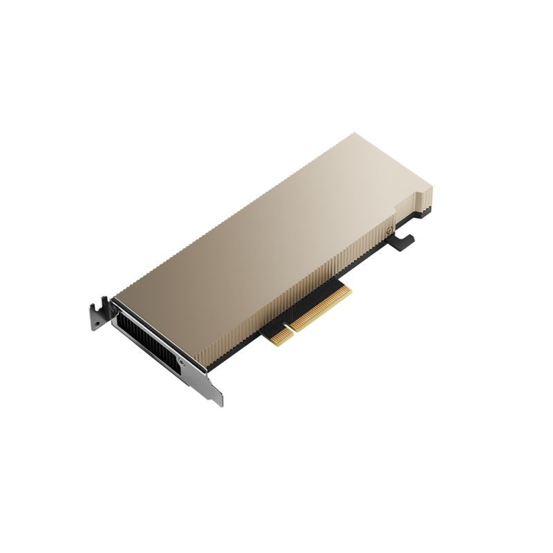 PNY A2 NVIDIA 16 GB GDDR6 [TCSA2MATX-PB]
