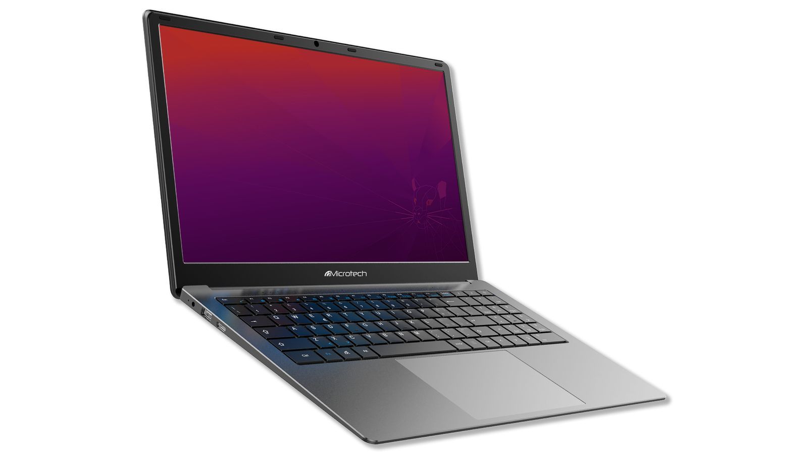 Microtech CoreBook Lite Intel Celeron N N5030 Computer portatile 39,6 cm (15.6") Full HD 4 GB LPDDR4-SDRAM 128 GB SSD Wi-Fi 5 (802.11ac) Windows 11 Grigio [CBL15E/W1]