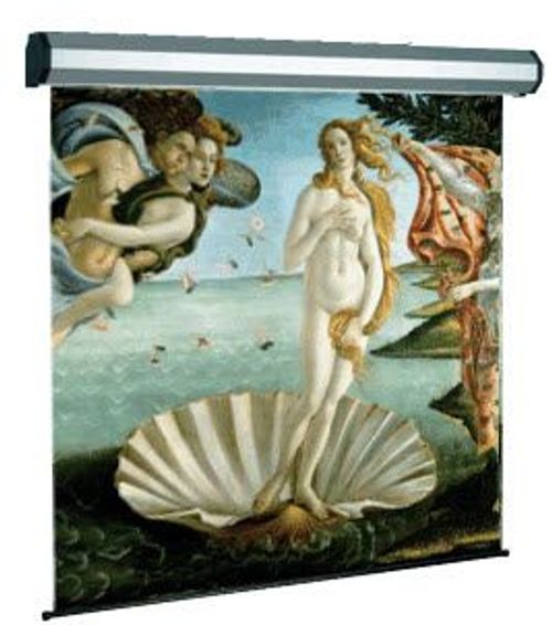 Sopar Electric professional schermo per proiettore 3,4 m (134") 1:1 [SOPAR5300]