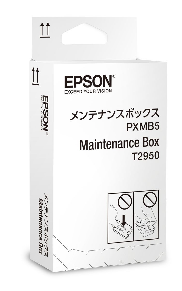 Epson WorkForce WF-100W Series Maintenance Box [C13T295000]