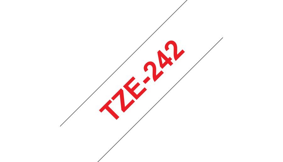 TZE242 [TZE242]