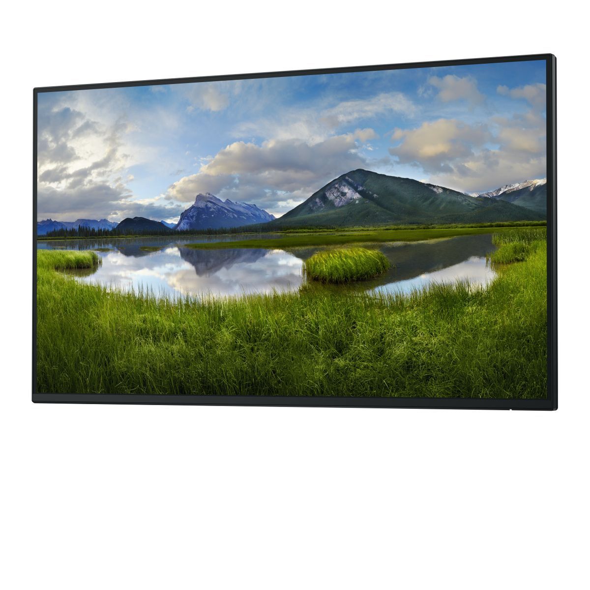 DELL P Series P2725H_WOST Monitor PC 68,6 cm (27") 1920 x 1080 Pixel Full HD LCD Nero [DELL-P2725HWO]