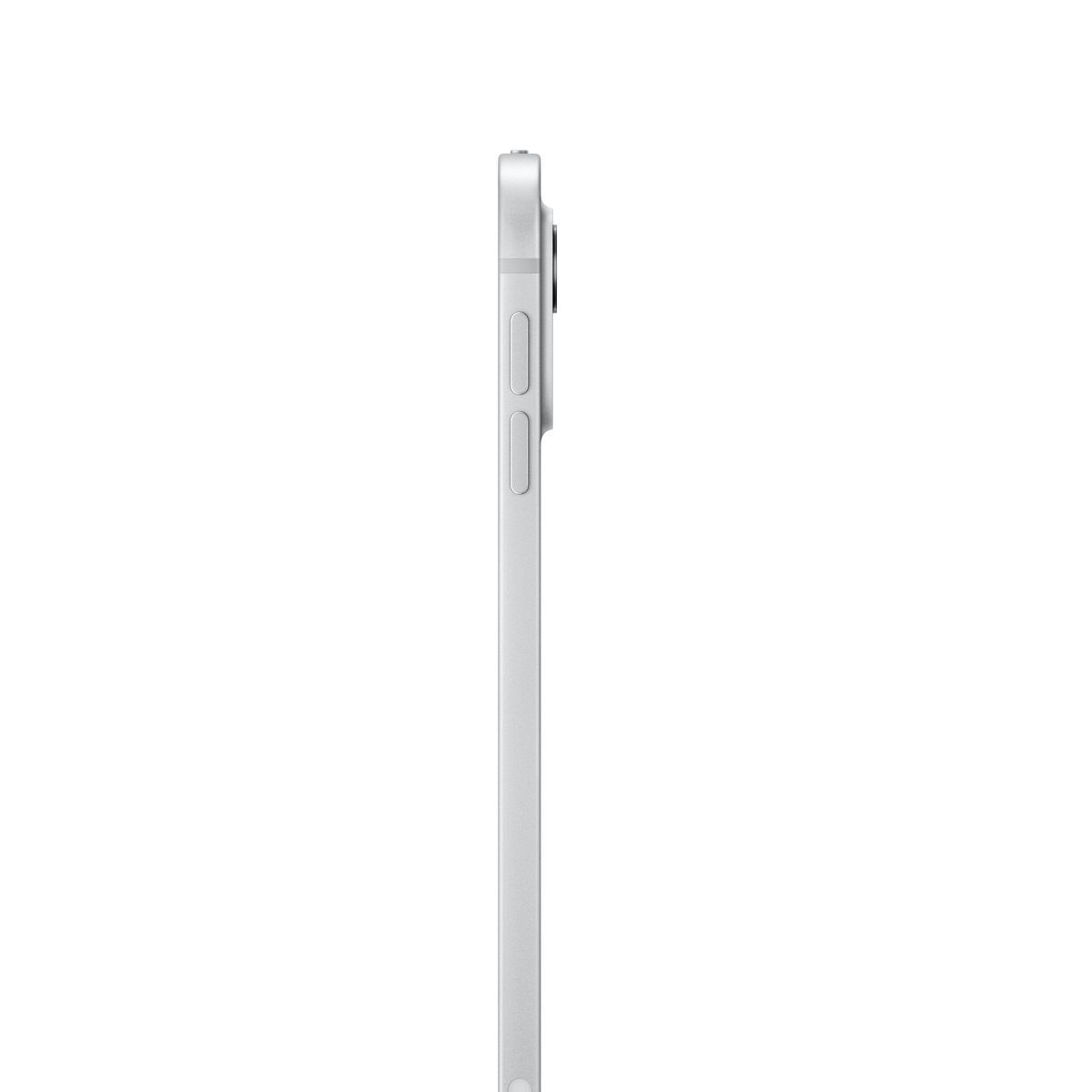 Apple iPad Pro 11'' Wi-Fi + Cellular 256GB Standard glass - Argento [MVW23TY/A]
