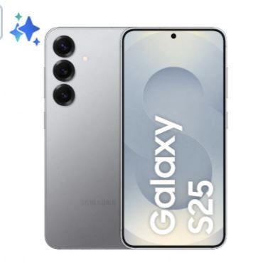 Samsung Galaxy S25 Enterprise Edition 15,8 cm (6.2") Doppia SIM Android 15 5G USB tipo-C 12 GB 256 GB 4000 mAh Argento [SM-S931BZSGEEE]