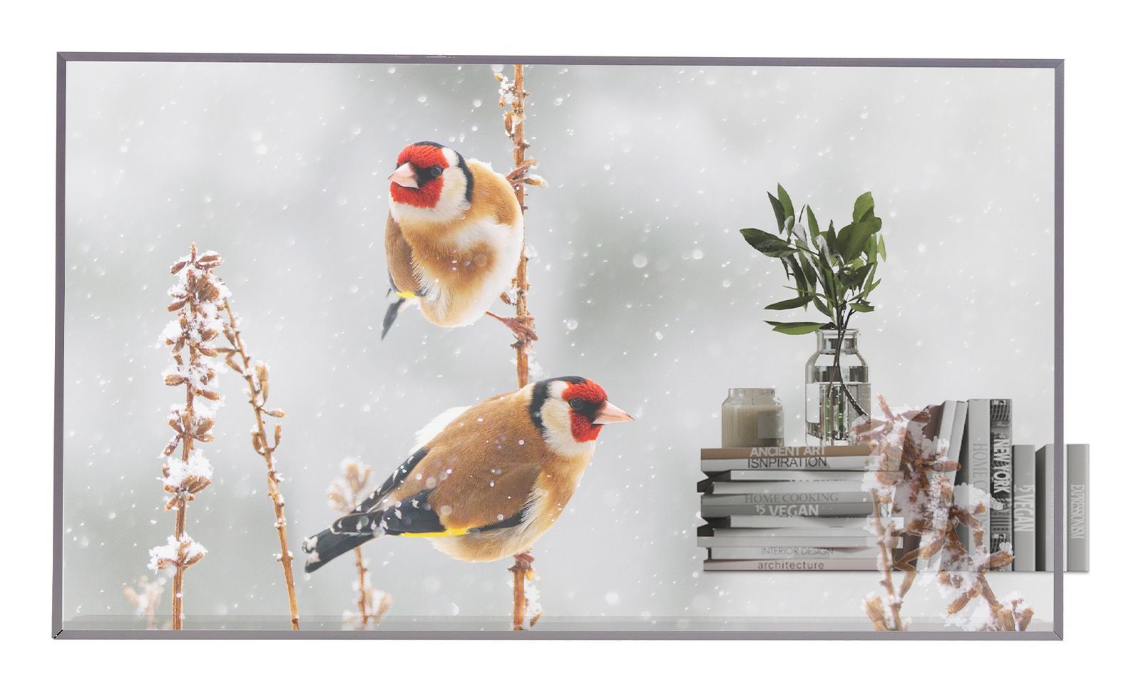 LG 55EW5P-M 55" OLED, 1920X1080, 16:9 Display transparent [55EW5P-M.AEU]