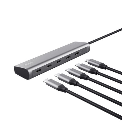 Trust Halyx USB 3.2 Gen 1 (3.1 Gen 1) Type-C Argento [25136]