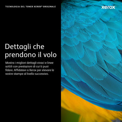 Xerox Cartuccia toner Nero a Capacità standard da 2500 Pagine per Stampante a colori  VersaLink C400/multifunzione a colori  VersaLink C405 (106R03500) [106R03500]