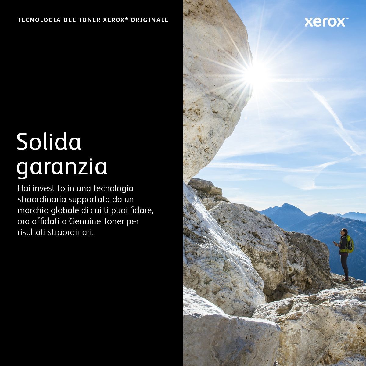 Xerox Cartuccia toner Magenta a Capacità standard da 1500 Pagine per Stampante a colori  C230/multifunzione a colori  C235 (006R04385) [006R04385]