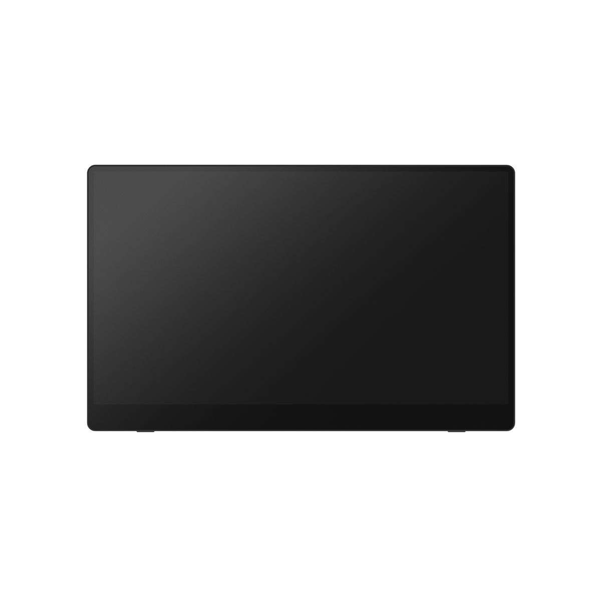 Ricoh Monitor portatile 150BW [514910]