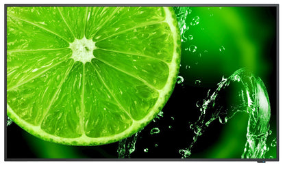 NEC MultiSync E658 165,1 cm (65") IPS 350 cd/m 4K Ultra HD Nero 16/7 [60005059]