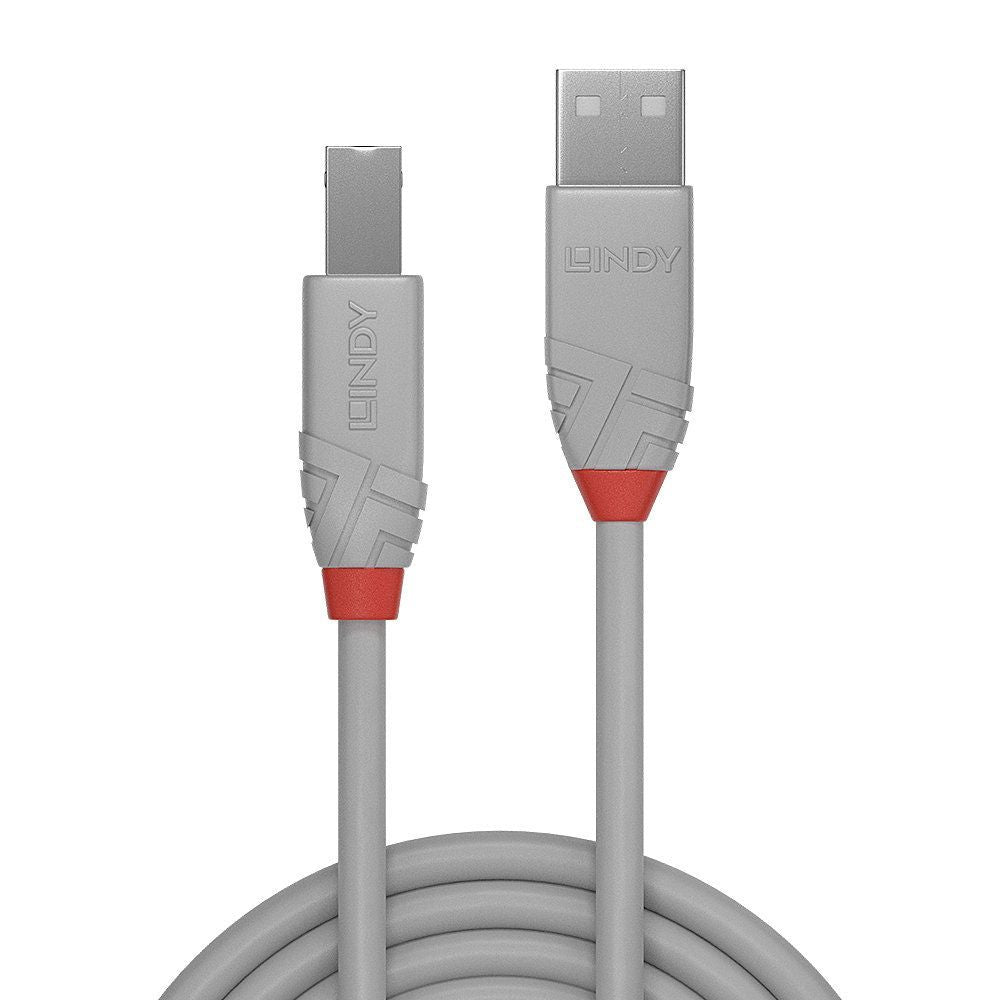 Lindy 36682 cavo USB 1 m USB 2.0 USB A USB B Grigio [LINDY36682]