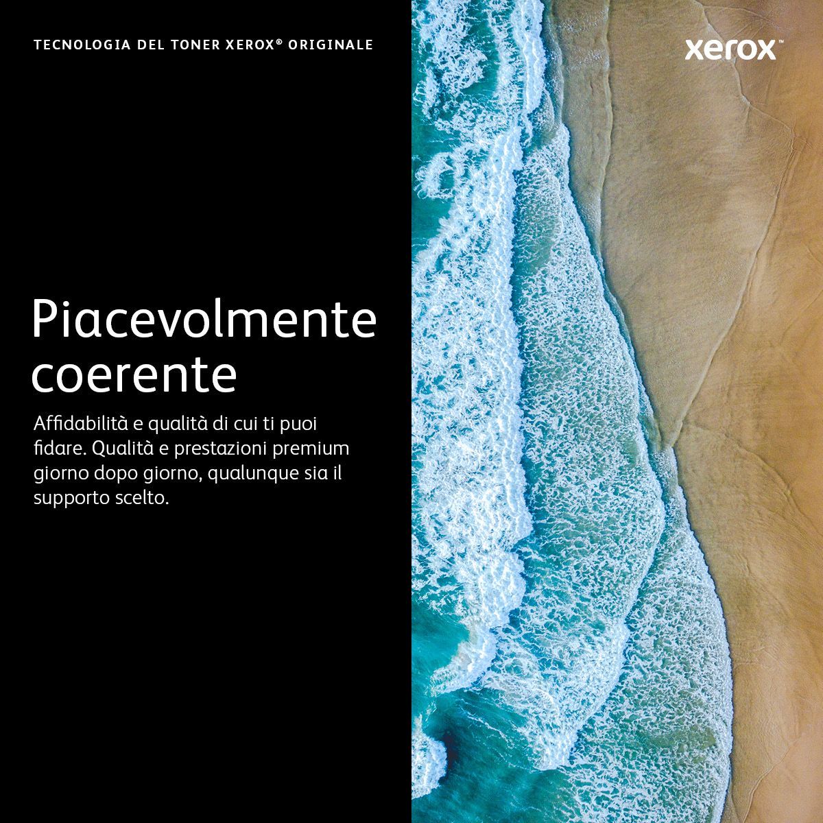 Xerox Cartuccia toner Magenta a Capacità standard da 2500 Pagine per Stampante a colori  VersaLink C400/multifunzione a colori  VersaLink C405 (106R03503) [106R03503]