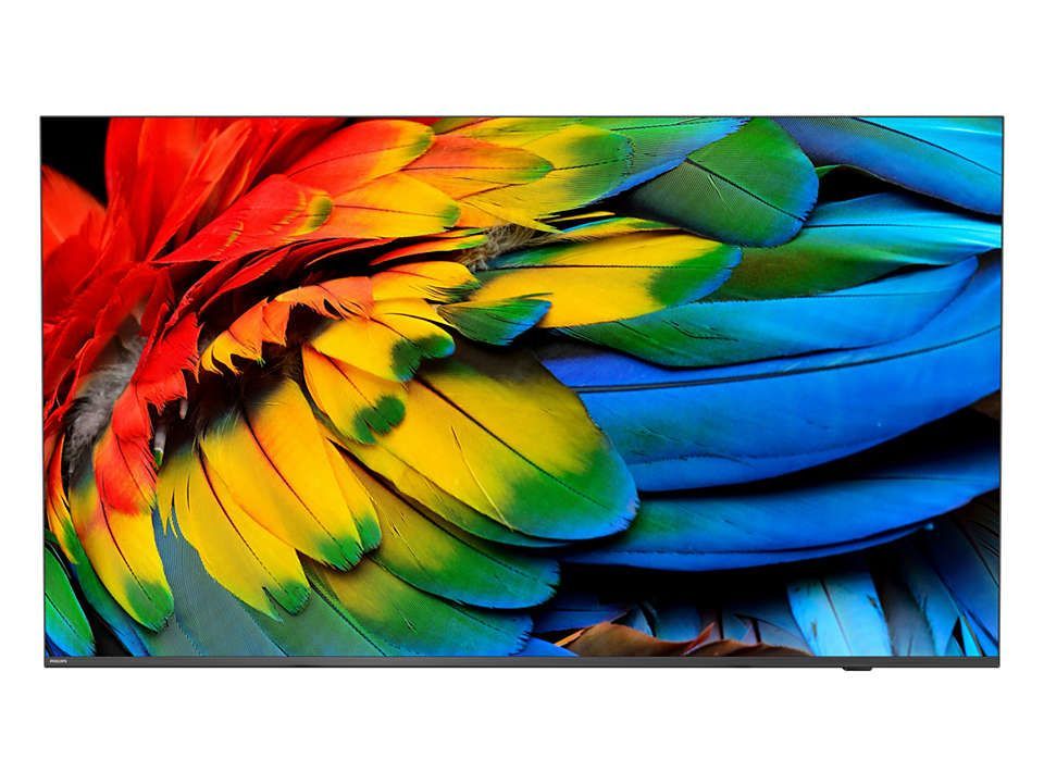 Philips 50HFL6214U 127 cm (50") 4K Ultra HD Smart TV Wi-Fi Antracite 400 cd/m Display arrotolabile [50HFL6214U/12]