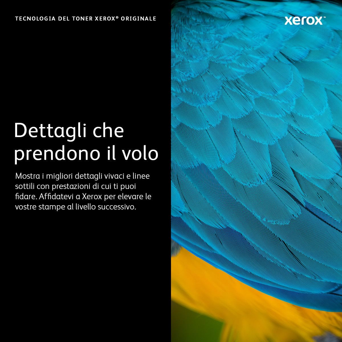 Xerox Cartuccia toner Magenta a Alta capacità da 7000 Pagine per Stampante a colori  C410/multifunzione a colori  VersaLink C415 (006R04687) [006R04687]