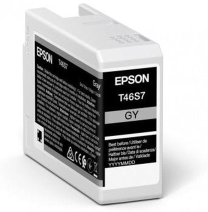 Epson UltraChrome Pro cartuccia d'inchiostro 1 pz Originale Grigio [C13T46S700]